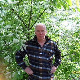  Alexander, --, 63  -  29  2016