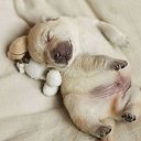 ���� ������, ������ - ��������� 20 ��� 2016 � ������ ���� ����������