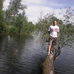 �, �����������, 43 ����