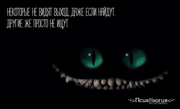 ������ �������� �������� - ���������� ���� - 10