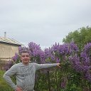 ���� �����, �������, 51 ��� - ��������� 19 ������ 2016