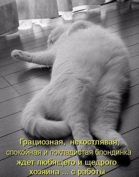 )