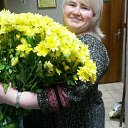 ���� ��������, ������ - ��������� 14 ����� 2016 � ������ ���� ����������