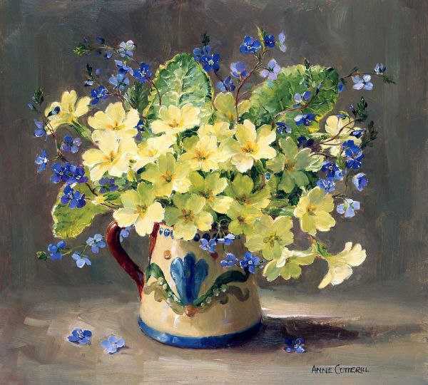 Anne Coterill