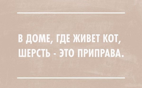  - 28  2016  16:09