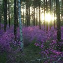 ���� ������, ������, 22 ���� - ��������� 12 ����� 2016 � ������ ���� ����������