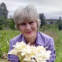 ���� ������, ����, 73 ���� - ��������� 8 ���� 2016 � ������ ���� ����������