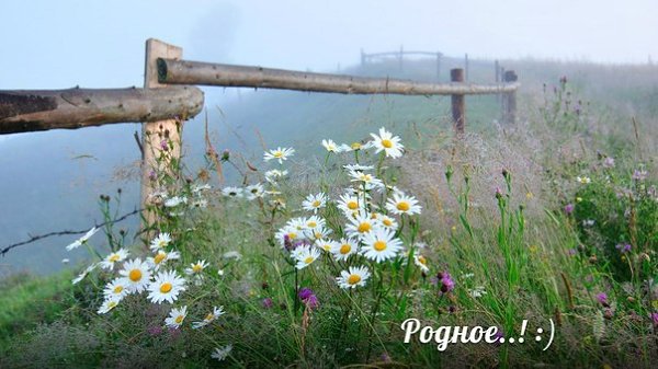Пост для Надежды Любарской из Санкт Петербурга . Мы очень рады , что Вам нравятся наши публикации и ...
