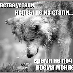 �������, �������, 47 ���