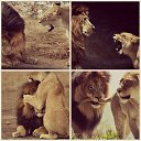 ���� �����, ������, 59 ��� - ��������� 1 ���� 2016 � ������ ������ ��������