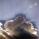 ���� ������, �����������, 69 ��� - ��������� 8 ������� 2016