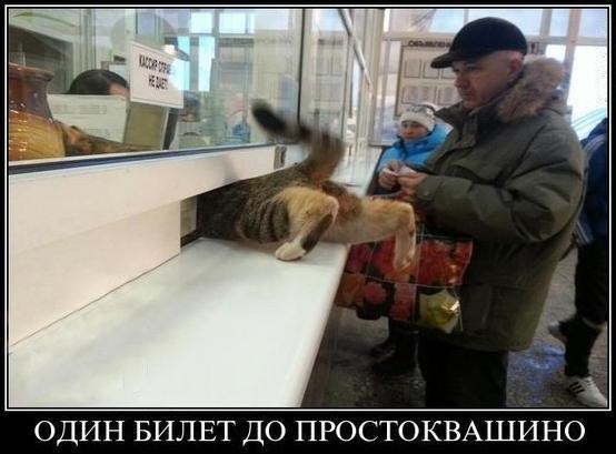 �������� �������! - 27 ����� 2016 � 10:52