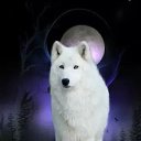 ���� ����, ����������, 48 ��� - ��������� 7 �������� 2016 � ������ ���� ����������