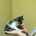 ���� ������, ������ - ��������� 16 ��� 2016 � ������ ������ ��������