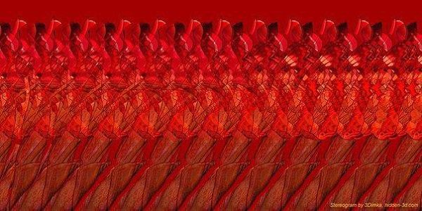 �������������� ������� ��������� �����.�������������� ������������ ����� ������������� �������, ... - 7