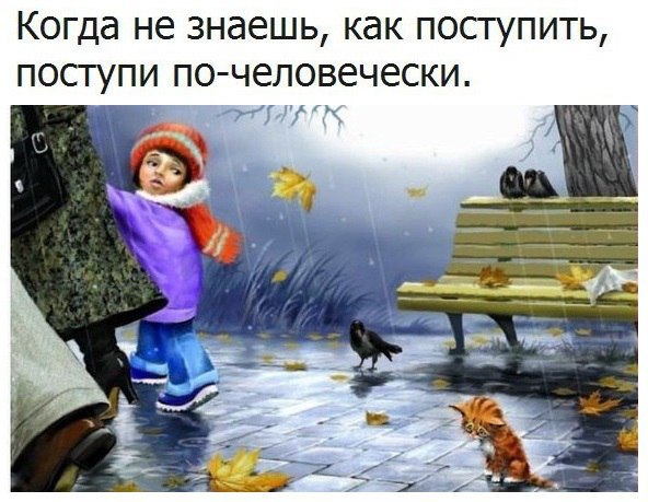   -  ,  -  - 7  2017  22:25