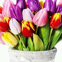 ���� ��������, ��������, 48 ��� - ��������� 5 ����� 2017 � ������ ���� ����������