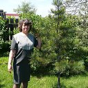 ���� ����, �������, 70 ��� - ��������� 26 ������ 2017 � ������ ���� ����������