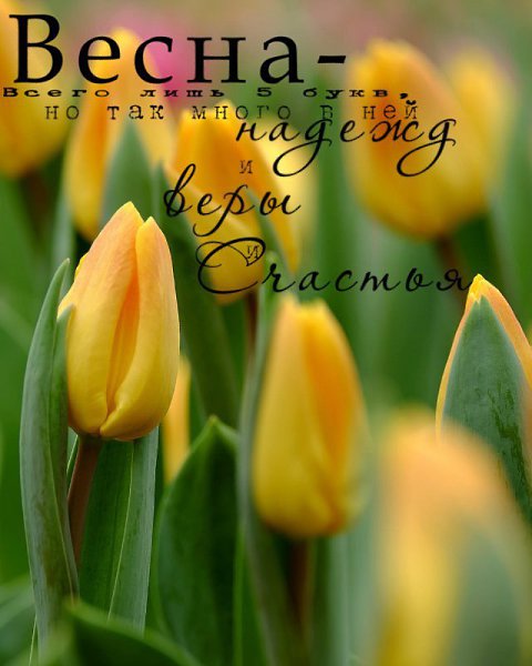 �������� - 7 ����� 2017 � 21:41