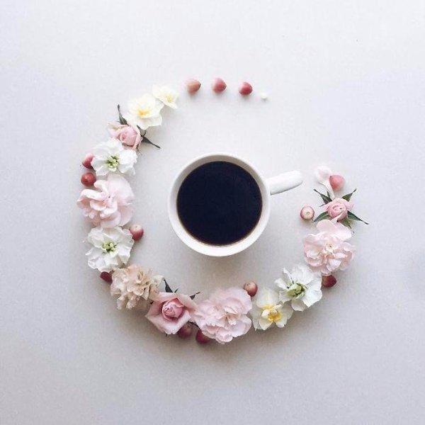     La Fee De Fleur