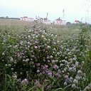 ���� �������, ���������, 55 ��� - ��������� 4 ������ 2017 � ������ ������ ��������