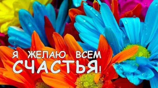  - 7  2016  15:17