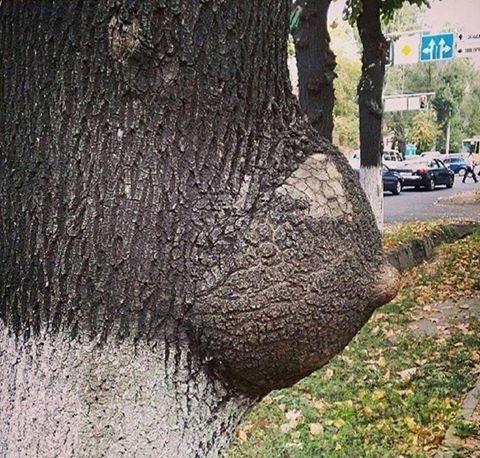  ... -    !!!)))))