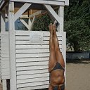 ���� ��������, �����-��������� - ��������� 12 �������� 2016 � ������ ����� 2016�