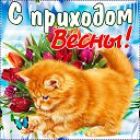 ���� �������� ( �� �������� ��), ��� - ��������� 1 ����� 2017 � ������ ������ ��������