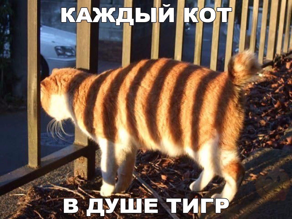  - 15  2016  02:07