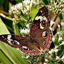 ���� �������, ������ - ��������� 11 ������� 2016 � ������ ������ ��������