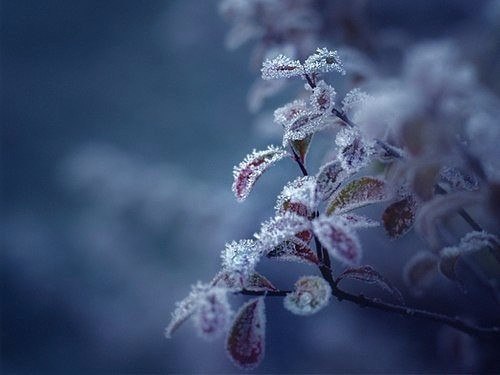 Art & Fun - 4  2017  20:41 - 6