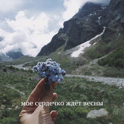  | ,  - 13  2017  17:34