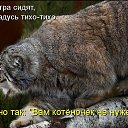 ���� Okci, ������, 48 ��� - ��������� 30 ������� 2016 � ������ ������ ��������
