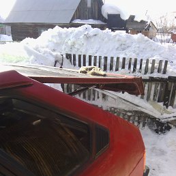 ���� ������, ���������, 54 ���� - ��������� 10 ����� 2017