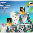 ���� Ostin, ������-��-����, 35 ��� - ��������� 25 ������� 2016 � ������ �������� �������-�������