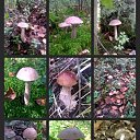 ���� ����, �����-���������, 60 ��� - ��������� 15 ������� 2016 � ������ ���� ����������