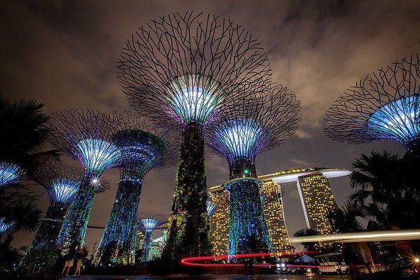 .  Gardens by the Bay