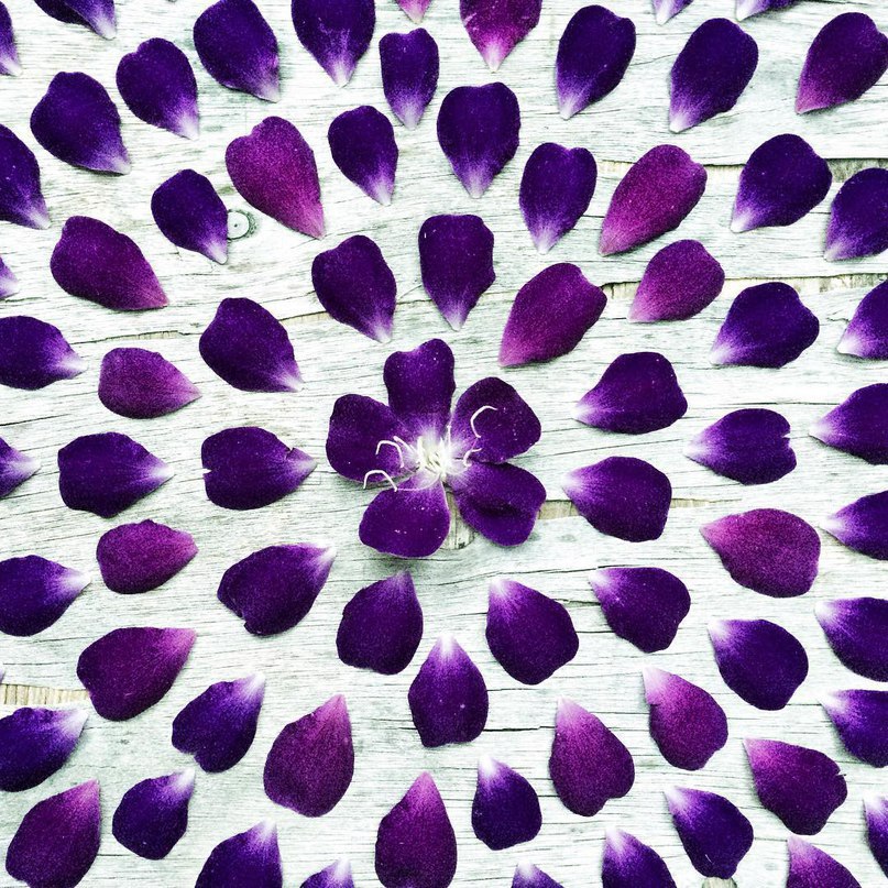   - 19  2016  04:52