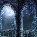  ,  , 23  -  12  2017    