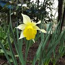 ���� �������, ������� - ��������� 5 ������ 2017 � ������ ������ 2017�