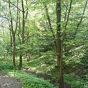 ���� ���������, ������, 49 ��� - ��������� 6 ������ 2016 � ������ ���� ����������