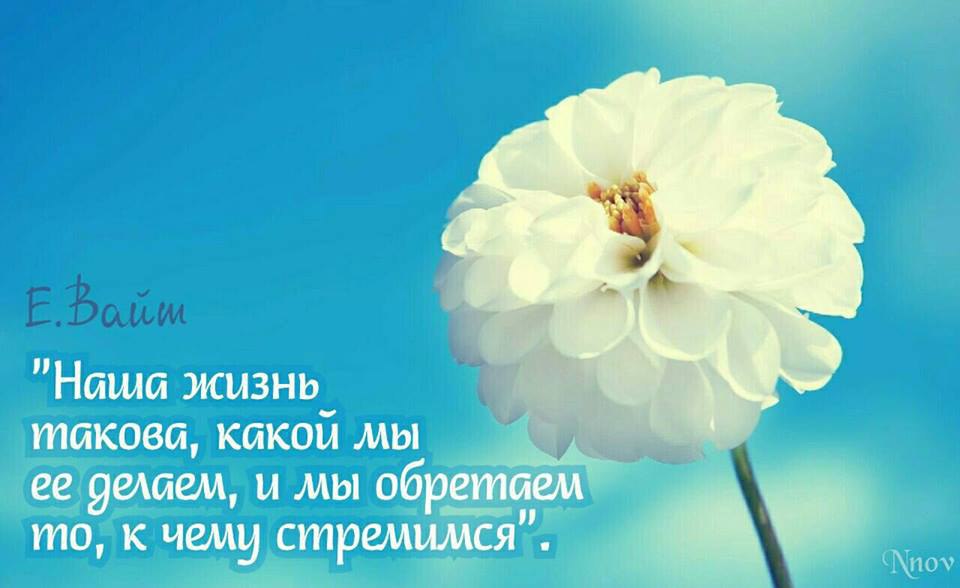  - 14  2017  04:25
