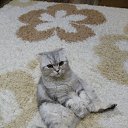 ���� �������, ������, 50 ��� - ��������� 20 ������� 2017