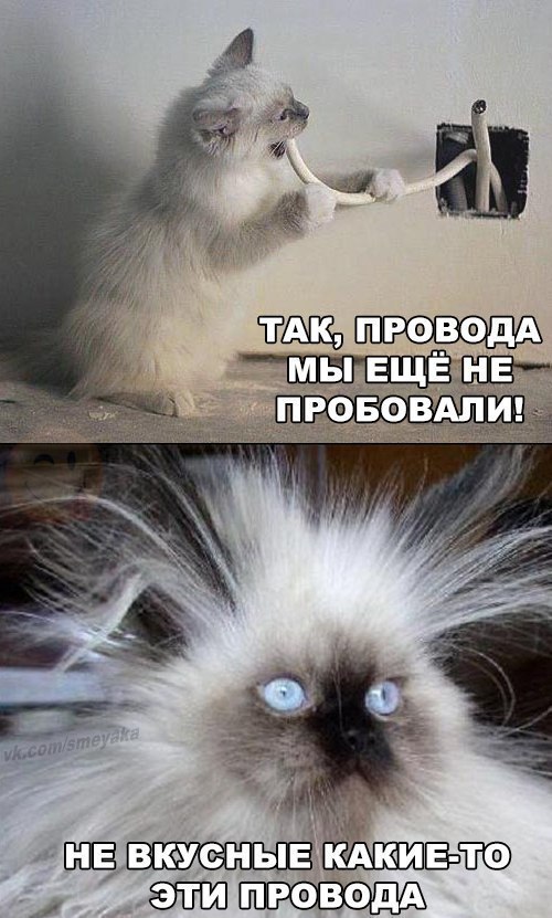    :D - 16  2016  18:05