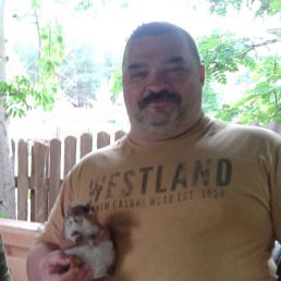 ������, ��������, 54 ����