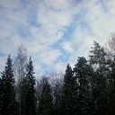 ���� �������, ���������, 55 ��� - ��������� 4 ������ 2017 � ������ ������ ��������