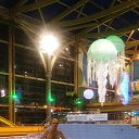���� Vladimir Rus161, �����, 64 ���� - ��������� 4 ������ 2017 � ������ ���� ����������