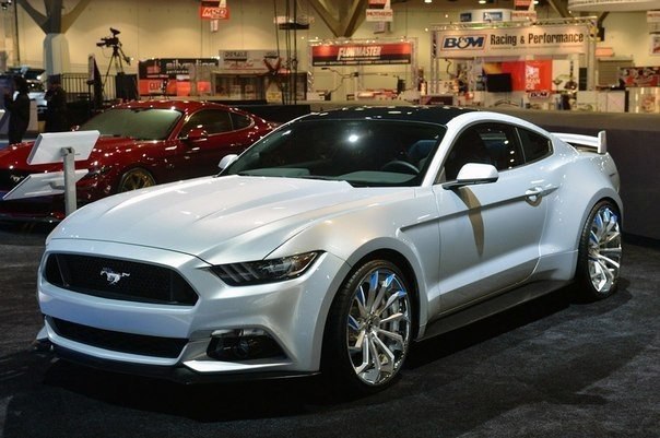 Ford Mustang Customs - 8