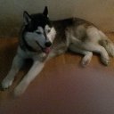 ���� �����, ������� - ��������� 21 ����� 2017 � ������ ������������ �������